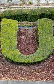U