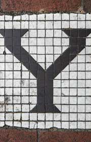 Y
